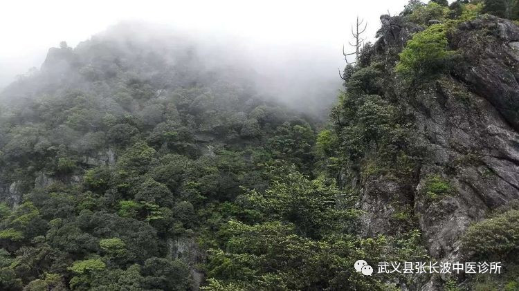 道家核心思想的含义_道家核心思想和内容_道家思想的核心/